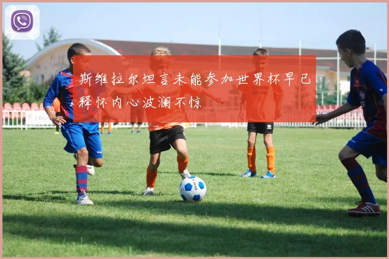 斯维拉尔坦言未能参加世界杯早已释怀内心波澜不惊